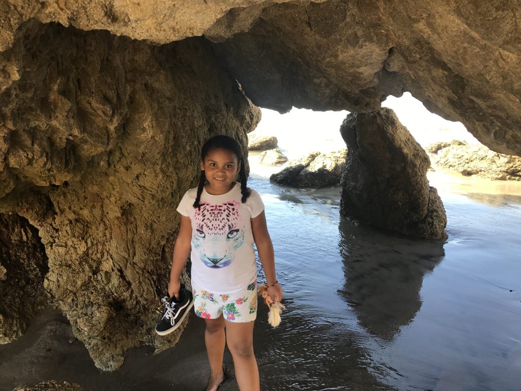 El matador beach rock