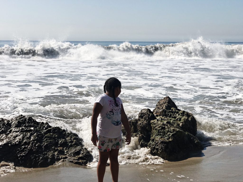 El Matador Beach Waves