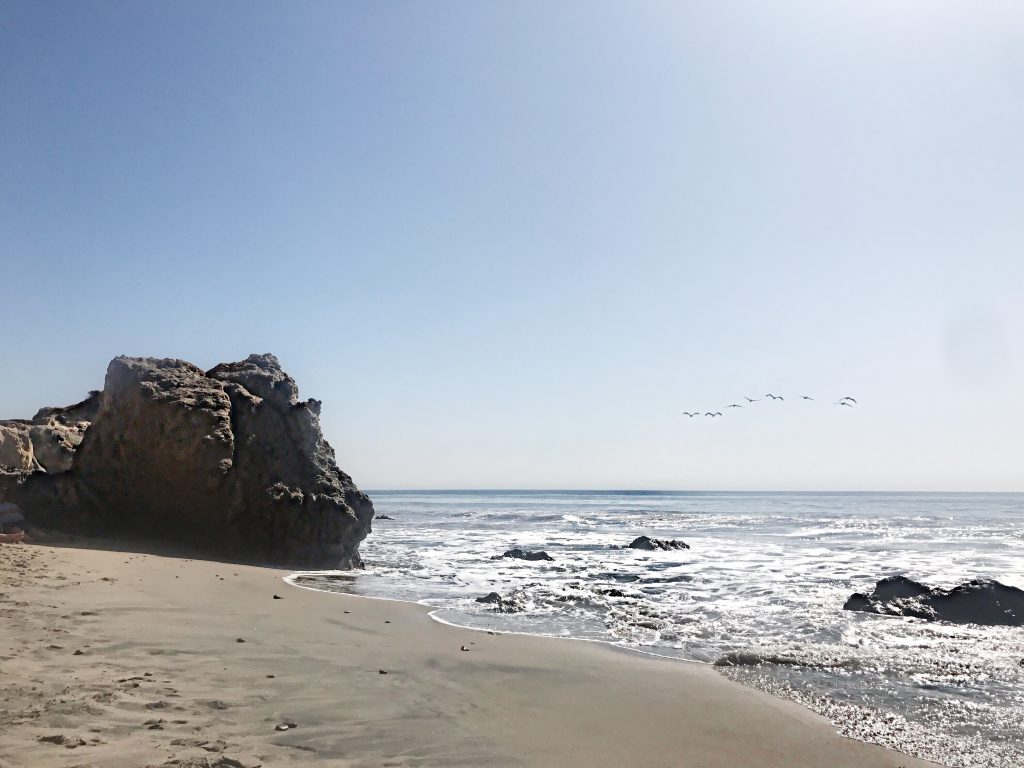 Beach Rocks